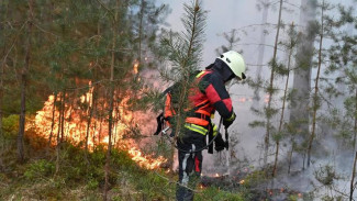 Waldbrand Tennenloher Forst